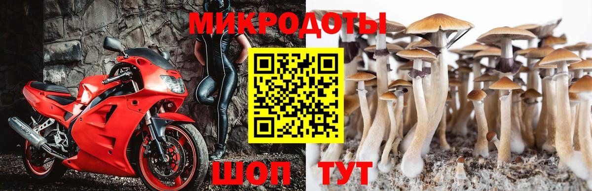 Галлюциногенные грибы ЛСД  Вход с VPN  Галлюциногенные грибы Cubensis  Дзержинский 